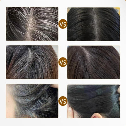 Instant Hair Root Touch-Up Dye Comb - Waterproof Gray Hair Cover Up Stick 20gm (Black)